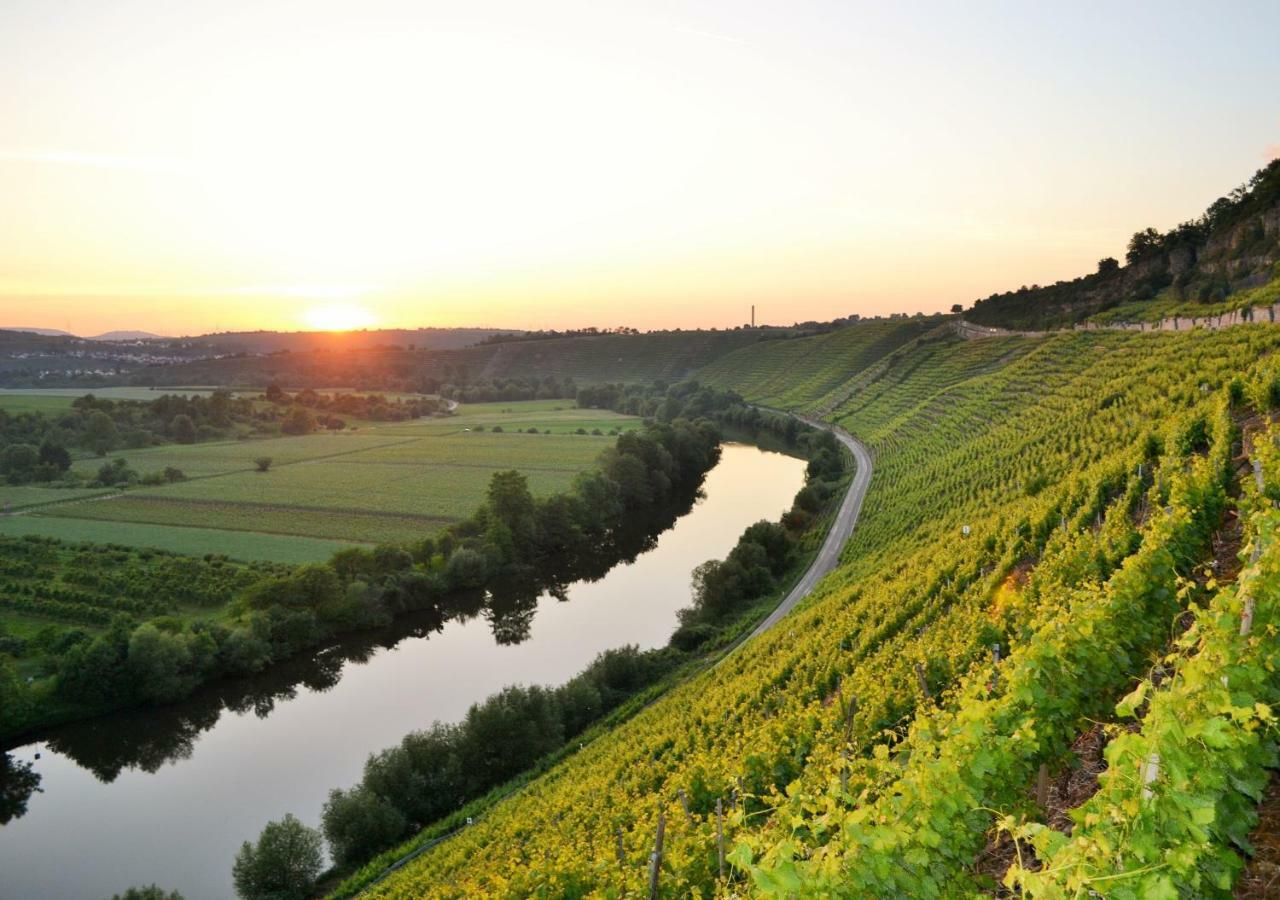 Weinblick *