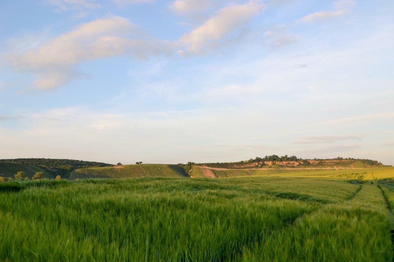Weinblick Besigheim